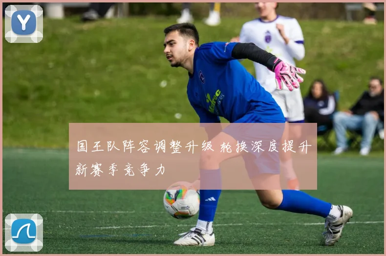国王队阵容调整升级 轮换深度提升新赛季竞争力