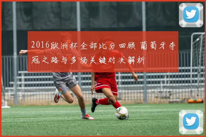 2016欧洲杯全部比分回顾 葡萄牙夺冠之路与多场关键对决解析