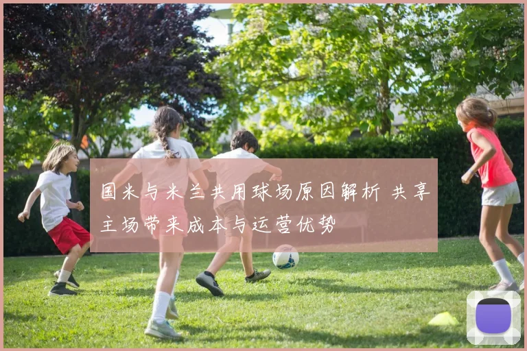 国米与米兰共用球场原因解析 共享主场带来成本与运营优势